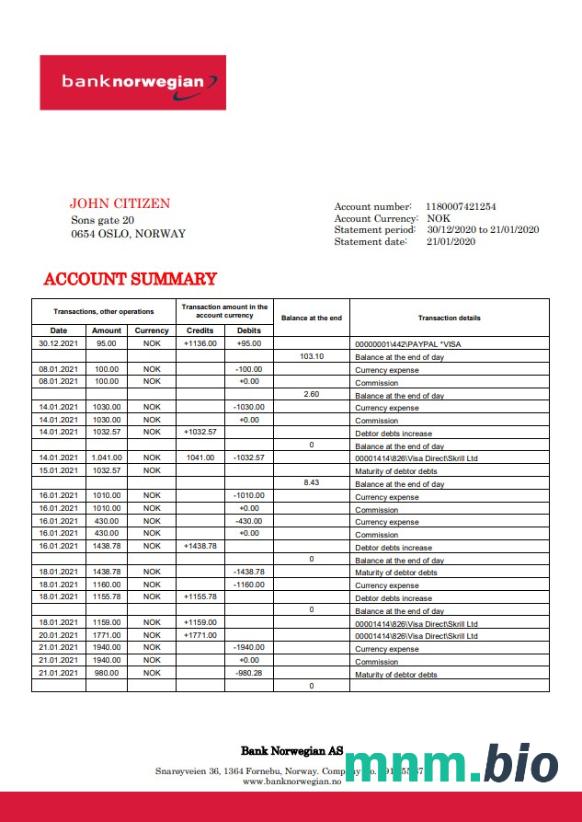 Norway Bank Norwegian AS szablon w formacie excel pdf
